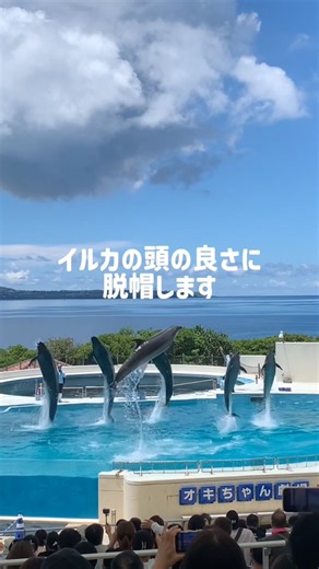 【沖縄】美ら海水族館はやっぱり最高！子連れは1日入れる最強スポット