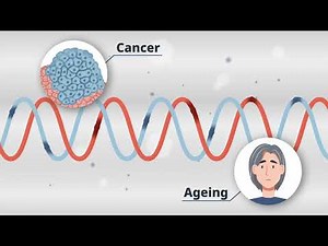 Researching R-loops in the 4R Research Training Group