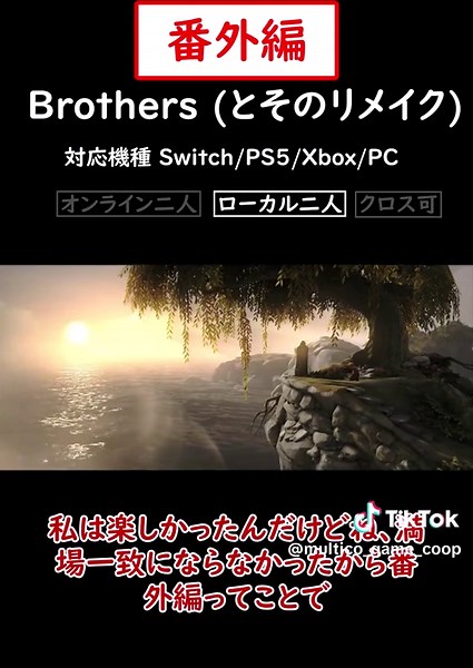 二人で楽しむゲーム紹介：ブラザーズ番外編