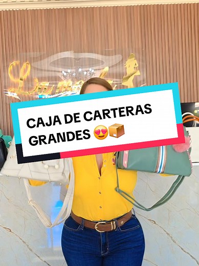 Grandes Carteras Bordadas en La Moda Guatemala
