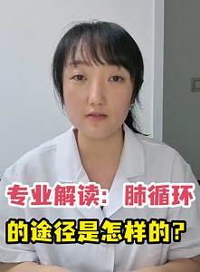 专业解读：肺循环的途径是怎样的？-有来医生