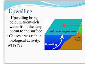 Oceanography (Earth Science)