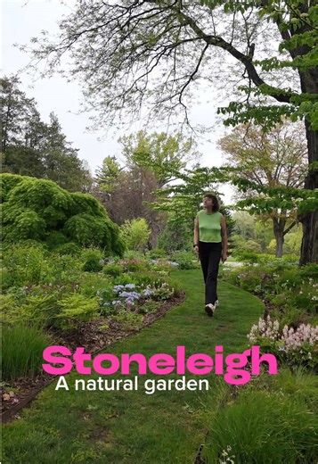 Looking for a hidden gem on the Main Line? 🌿 Step inside Stoneleigh, a breathtaking 42-acre sanctuary in Villanova. From the historic Tudor mansion to the lush native plant meadows and the iconic stone pergola, it’s the perfect spot for a peaceful stroll or a quiet picnic. Less than one hour from Philadelphia. 🎟️ Admission: Free 🗓️ Open: Tuesday–Sunday, 10 AM – 5 PM #gardentok #villanova #mainline #hiddengem #gardendesign