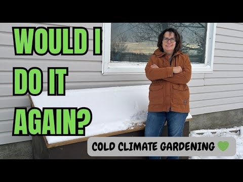 Cold Frame Gardening in Canada 🍁 Will I Do It Again Next Year?
