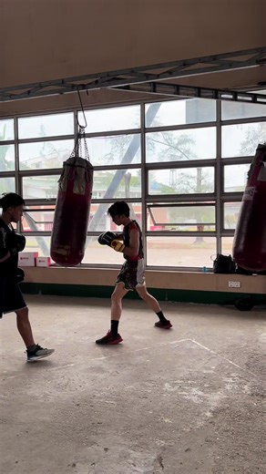 Bound by Noise in Boxing: A Deep Dive