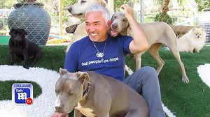 Cesar Millan as you've never heard him before