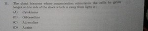 The plant hormone whose concentration stimalates the celle be t... | Filo