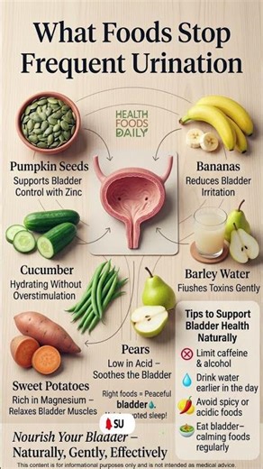 Stop Frequent Urination Naturally 🚫💧 | Eat These Foods for Bladder Control!
