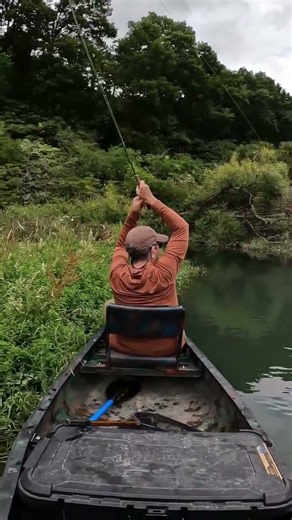 Dry Fly Fishing With a Cicada Pattern