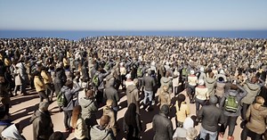 ia scatter: A Great Tool for Scattering Meshes in Unreal Engine 5.1