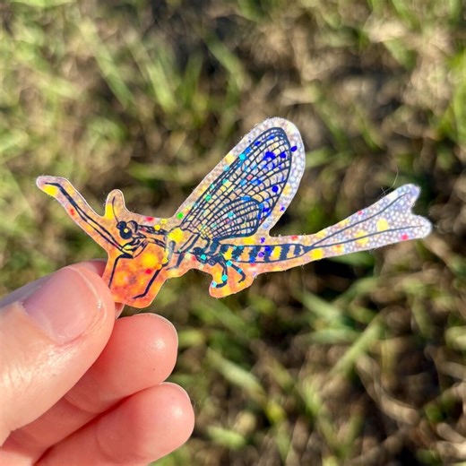 Holographic Mayfly Sticker | Fly Fishing Sticker | Trout Pattern Sticker | Glitter Vinyl Sticker | Fishing Gift | Fly Fishing Gift - Etsy