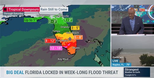 Tropical downpours could bring more than a foot of rain across parts of Florida this week. Download The Weather Channel TV app for live updates: https://bit.ly/3UzM2rh | The Weather Channel