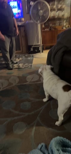 Carol Gibson Gandy 826 on TikTok