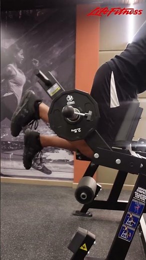 Hammer Strength Plate-Loaded ISO-Lateral Kneeling Leg Curl, Life Fitness India