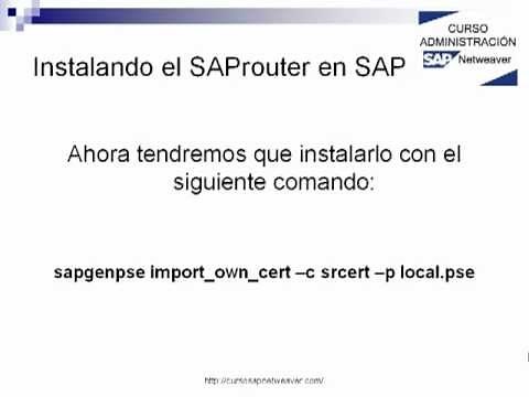 INSTALANDO EL SAPROUTER EN SAP