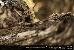 Cara Menampilkan Folder Tertentu Pada Taskbar Windows 10
