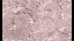 CRACK Lyrics - 98 MUTE | eLyrics.net