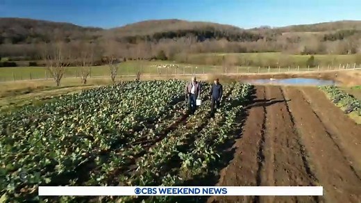 51K views · 22 reactions | STATE OF THE PLANET: U.S. greenhouse gas emissions, which contribute to global warming, increased in 2021 after falling during the height of pandemic lockdowns. | CBS Evening News | Facebook