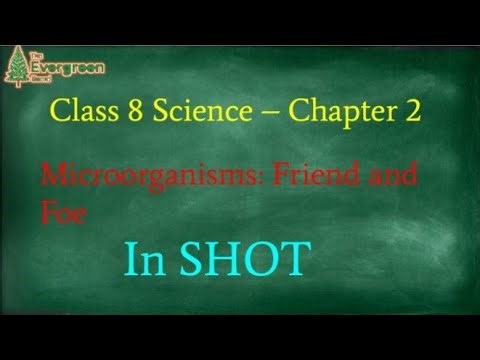 Class 8th science chapter 2 microorganisms Friend and foe In Shot