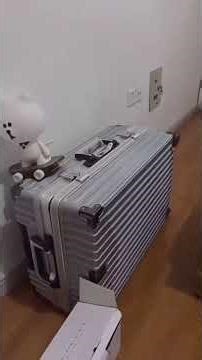 Funny Cats doing funny cat things cutest @cuteandwild775 #animals #cat #funny