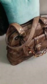Nine West did their big one on this bag. (Thrifted for $3 ) Hampton Miranda Python Coach bag Not!