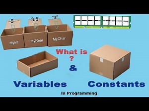 variables and Constants in Computer Programming - Full Explanation
