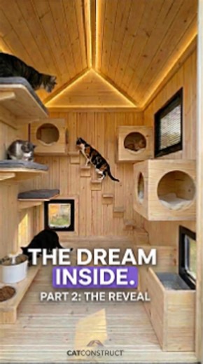 Cat Shelter Transformation Part 2: Interior Reveal 🏡🐈