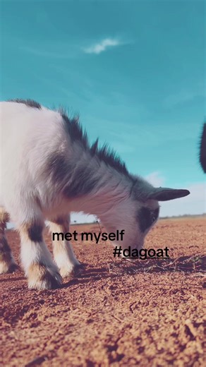 Understanding the GOAT in Modern Culture