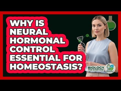 Why Is Neural Hormonal Control Essential For Homeostasis?