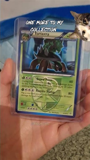 #pokemoncards #torterra
