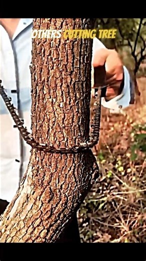 Normal Loggers vs This Logger