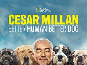 Cesar Millan: Better Human Better Dog Season 1 Episode 1