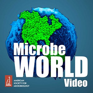 MWV Episode 79 - The Microbiology of Beer