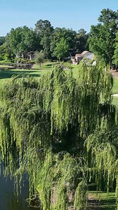 7.7K views · 107 reactions | Sunday at River Hills Golf. ⛳️ #MyrtleBeachGolf #golf #golfcourse | Play Golf Myrtle Beach | Facebook