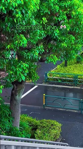 The peaceful side of Japan you never see — welcome to the countryside 🌸🚂