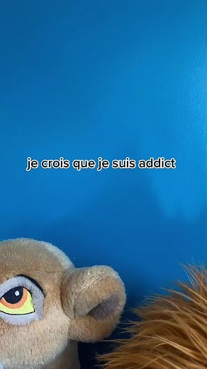 Et c’est loin d’être fini…🙂 #collection #disneyplushies #peluche #disney #disneyroom #disneyfan #disneylandparis #plushtoys #peluchesdisney #graal #plushies #plush #disneyplush #lionking #chatsdisney #disneycats #lionking