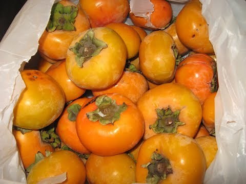 water bath canning PERSIMMONS - NO SUGAR NO SWEETENER of any kind just PINEAPPLE JUICE