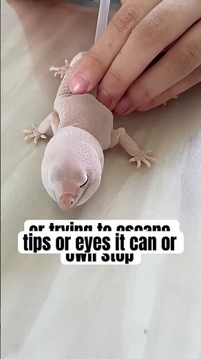 Extreme Shedding 😱