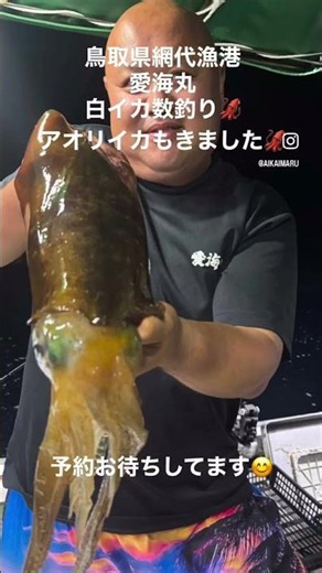 白イカ釣り🦑アオリイカもきました😊数釣りです🙆 #漁師 #釣り #鳥取県 #アオリイカ #白イカ