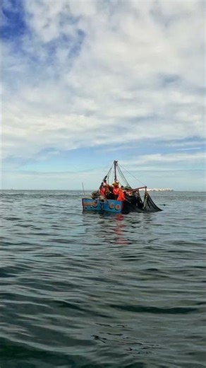 Exploring Paracas and the Ballestas Islands