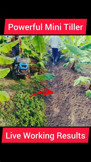 This Mini Tiller is a WEED-KILLING BEAST! 🤯 #shorts #farming