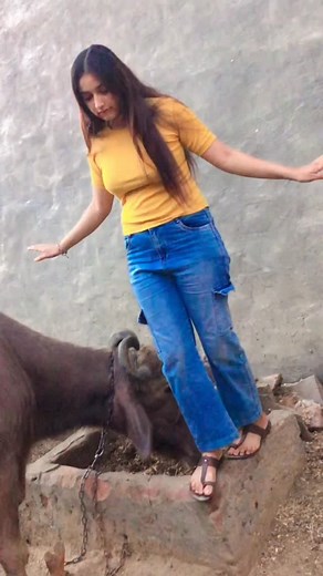 4.7K views · 2.1K reactions | #pls like comment share song  | Bindu Ranwa | Facebook