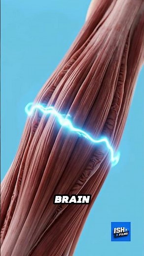 How Your Brain Controls a Bionic Arm 🦾🧠