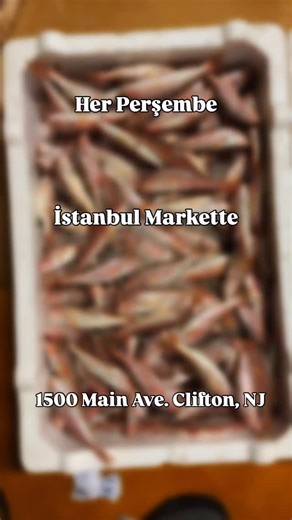 🛒 İstanbul Food Bazaar – Clifton, NJ 1500 Main Ave 🐟 Taze Balık Geldi! 🔥 🐟 Hamsi 🐟 Lüfer & Çinekop 🐟 Kalkan 🐟 Levrek & Çipura 🐟 Torik · İstavrit · Mezgit · Tekir Her gün taze, her zaman uygun! 📞 (973) 955-2989 🕗 08:00-22:00 açık Adres: 1500 Main Ave, Clifton, NJ Gel, balık al, evde şölen yap! 🇹🇷🐟 | Istanbul Food Bazaar