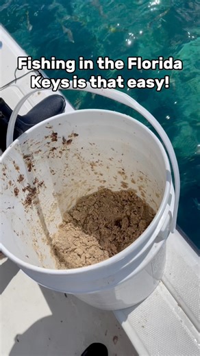 Is fishing in the Florida Keys this Easy? Also did you see the Barracuda try to attack those fish! #floridakeys #tampabay #yellowtailsnapper #fishing | Groupermvp