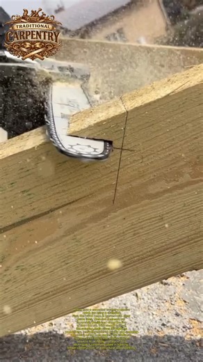 Perfect Notch Cut with Chainsaw Guide 🪚 #Chainsaw #Carpentry #Woodworking