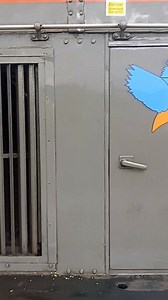 86K views · 867 reactions | SRPS Rail Tours, day 2, Inverness, to Kyle of Lochalsh gbsct Sorry no Class 37 Loco on rear, very windy  | The Grate ist Flame | Facebook