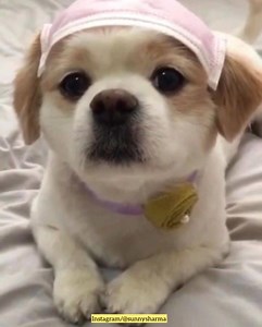 192K views · 692 reactions | Welcome to the official page of Sunny Sharma! | Sunny Sharma | Facebook