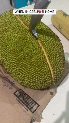 33K views · 539 reactions | Food trip jud pag balik Cebu | Crisha Uy | Facebook