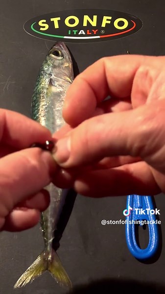 Catalina Needle: Precision Tool for Baiting Fish